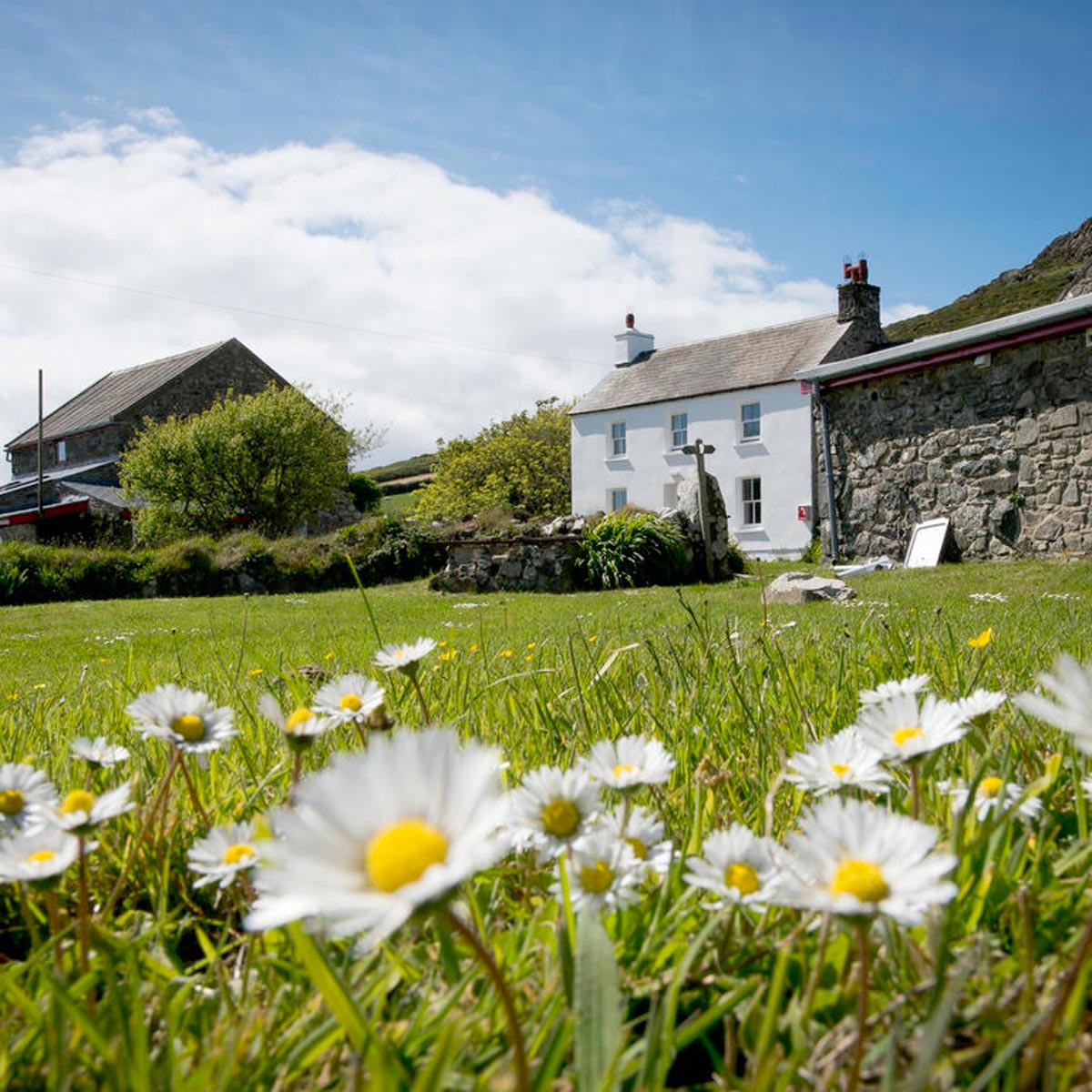 St Davids