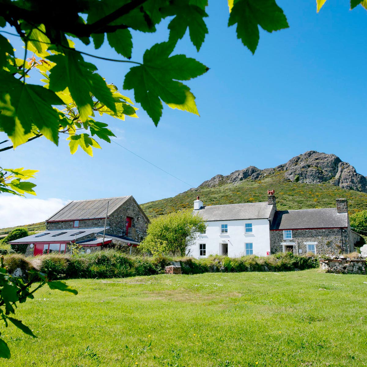 St Davids