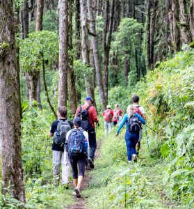 School Trips Wales: Forest Trekking