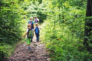 School Trips Wales: Forest Trekking